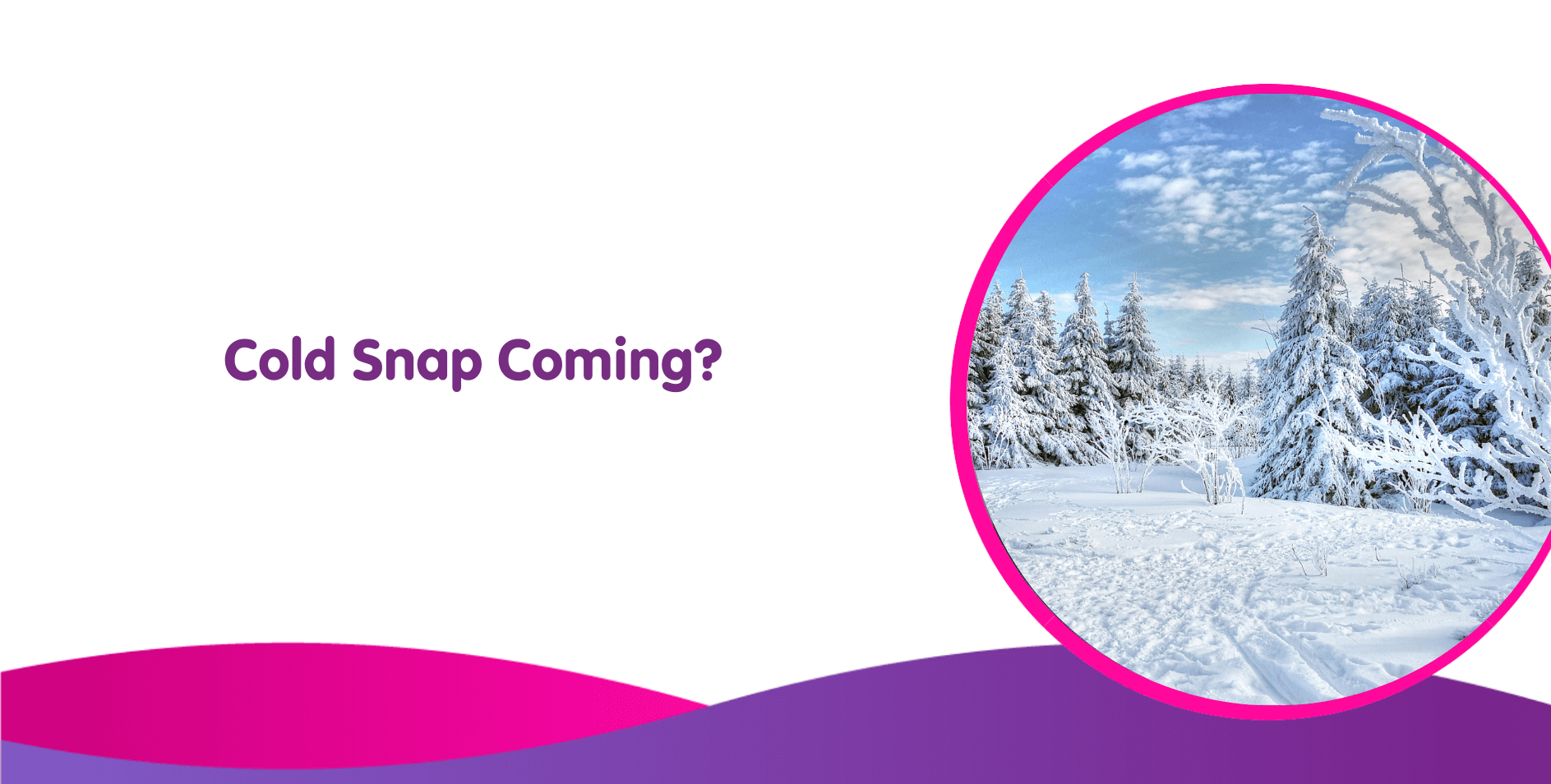 Text "Cold Snap Coming?" on a white background with a purple border. On the right, there’s a circular image of a snowy landscape with snow-covered trees and a blue sky, serving as the perfect backdrop for considering new boiler installations ahead of winter.