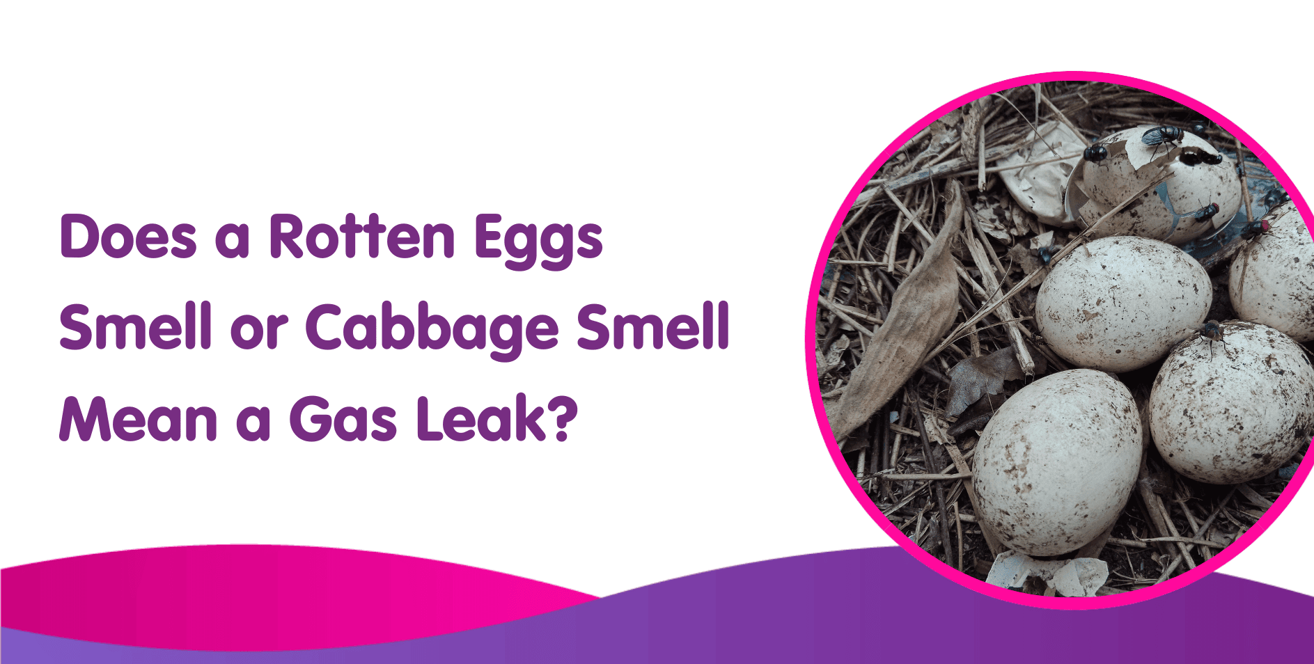 rotten eggs gas leak