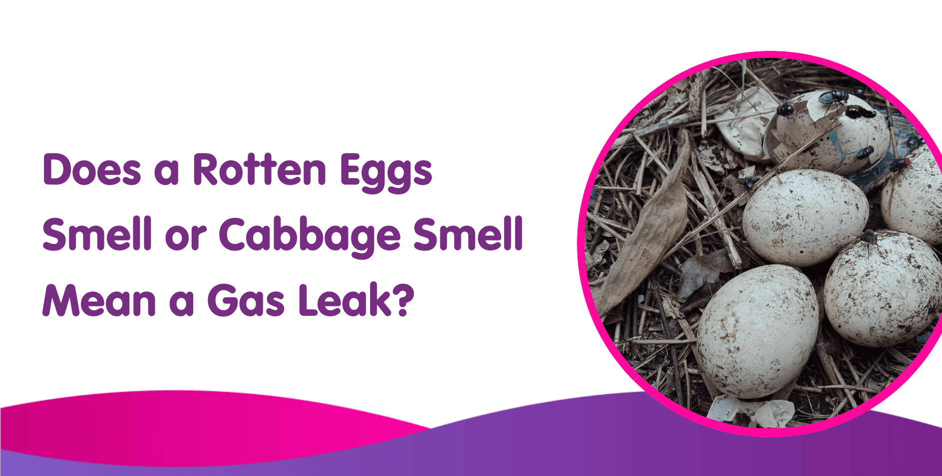 Does a Rotten Eggs Smell or Cabbage Smell Mean a Gas Leak?