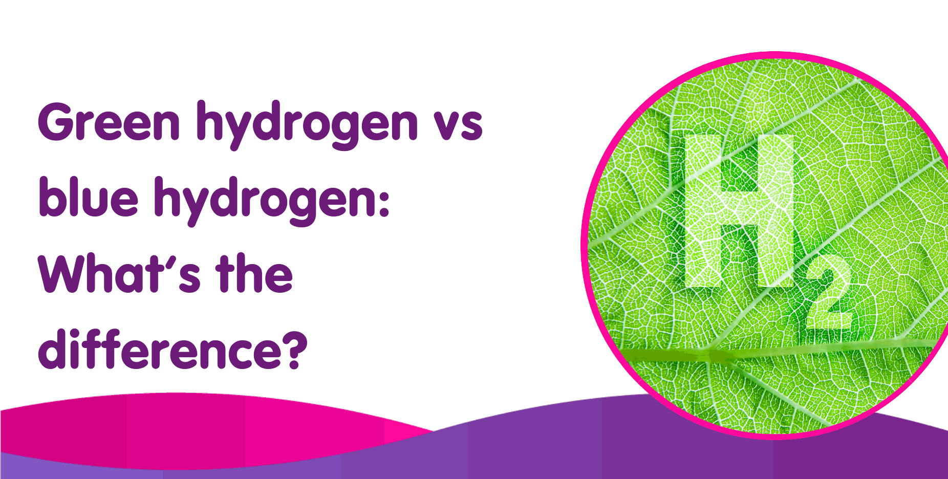 Green hydrogen vs blue hydrogen: What’s the difference? A circular image of a leaf displaying "H2" on the right symbolizes clean energy options, offering insights that could revolutionize boiler installation methods and efficiency.