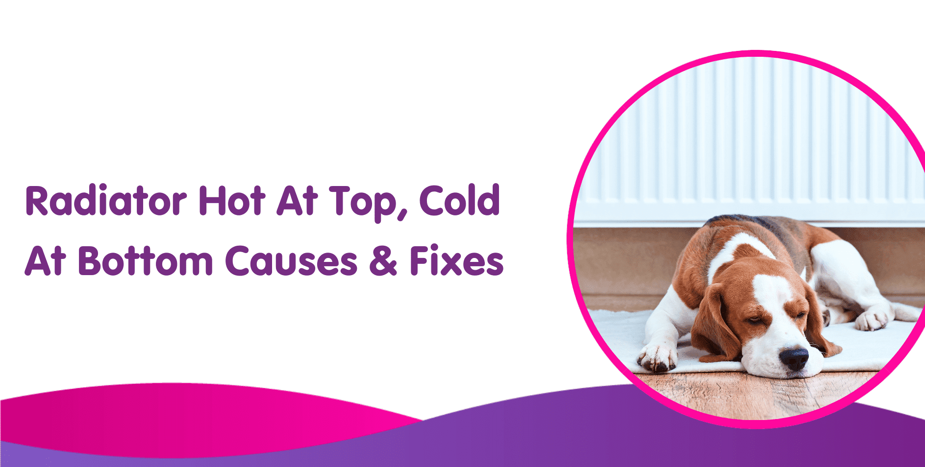 A sleeping dog lies on a mat in front of a radiator. The text reads, "Radiator Hot At Top, Cold At Bottom Causes & Fixes." With hints of pink and purple, the design subtly suggests checking boiler installation for optimal warmth.