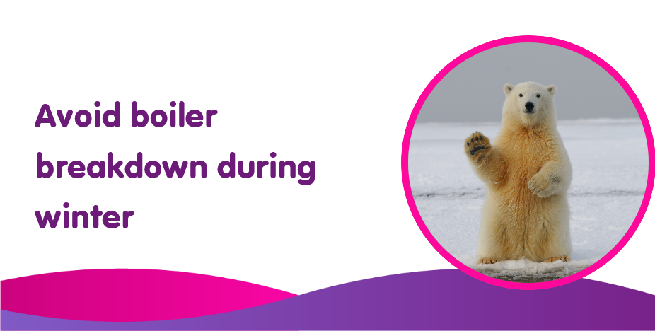 avoid boiler breakdown during winter