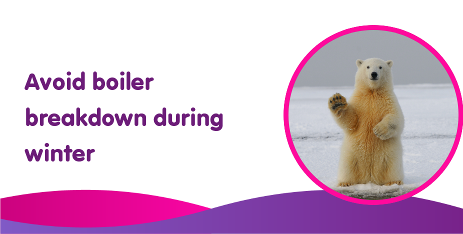 How to avoid  a boiler breakdown during winter