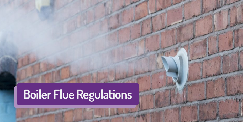 Boiler Flue Regulations