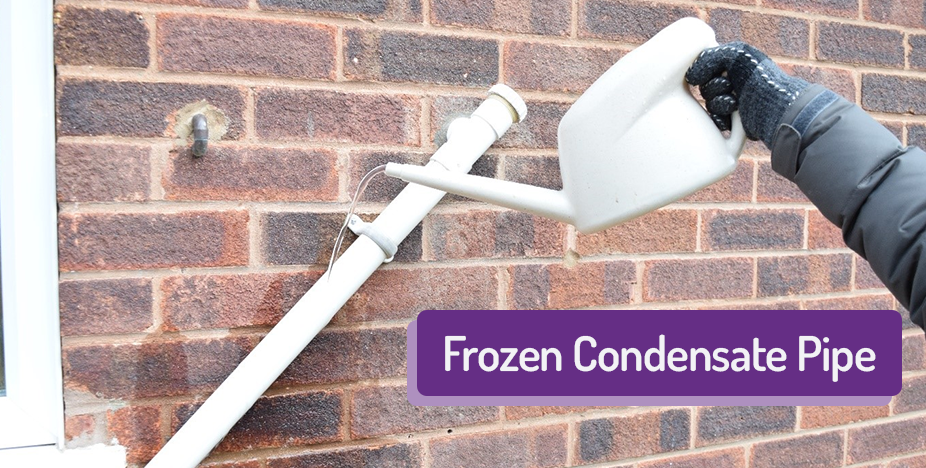 Frozen condensate pipe