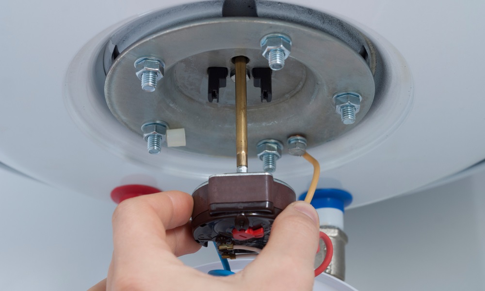 master holds a thermostat from an electric boiler in his hand